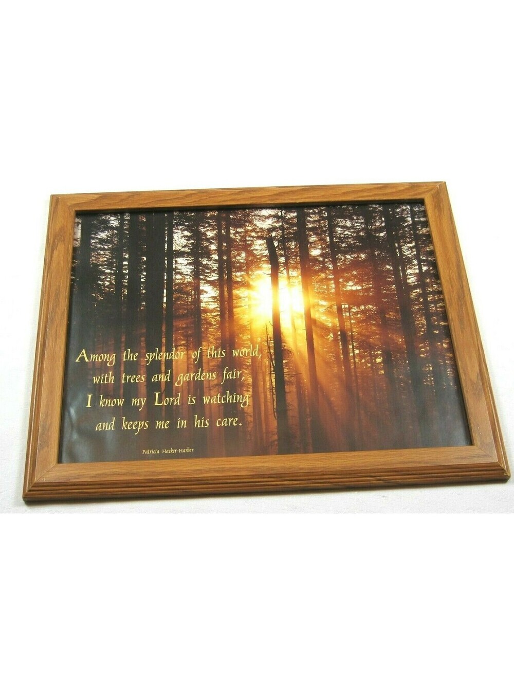 Vintage Christian Inspirational Art Print Poster w/ Poem Trees Woods 22x18 Frame